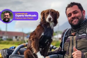 viajar-con-tu-perro-en-moto