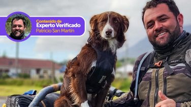 viajar-con-tu-perro-en-moto