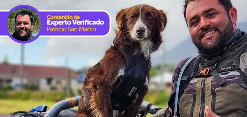 viajar-con-tu-perro-en-moto