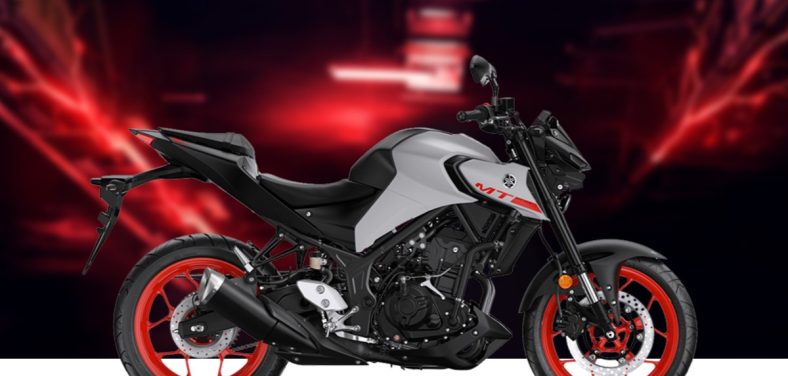 yamaha mt - Galgo